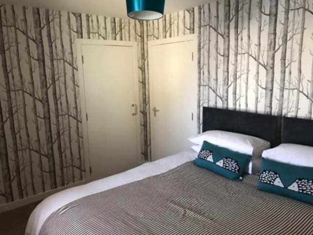 Thurso Self Catering Pet Friendly Holiday Lets Exterior photo